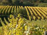 2004-10-24_14-44-17_Octobre_114,0mm_1_80_eme_DiMAGE A2